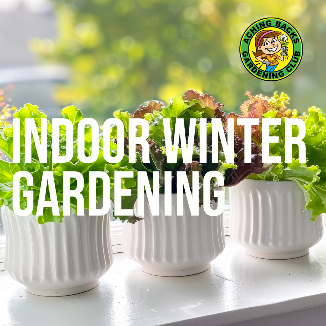 Indoor Winter Gardening: How to Grow Fresh Herbs and Veggies All Season Long