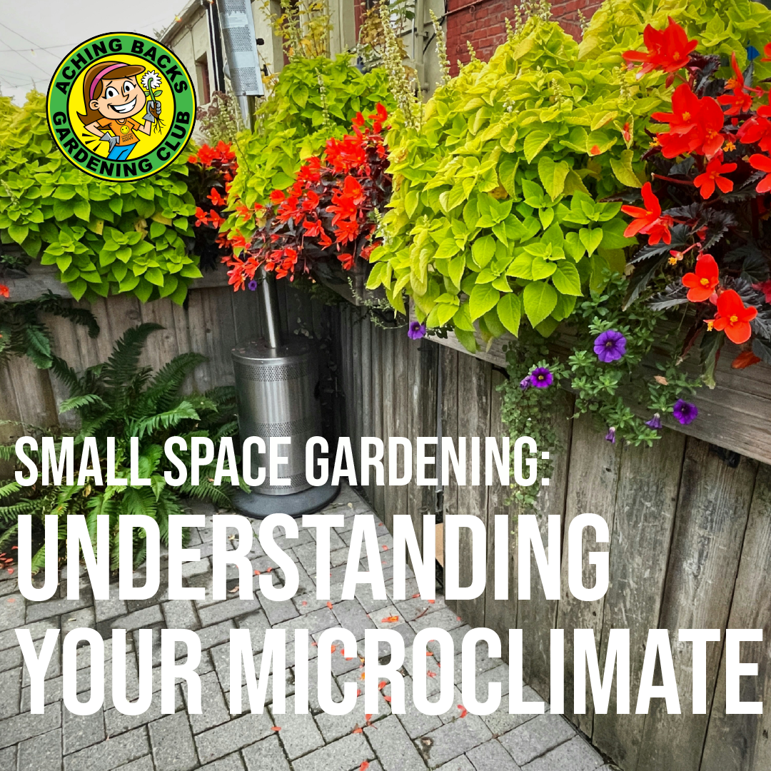 Small Space Gardening: Understanding Your Microclimate