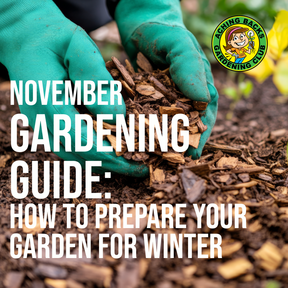 November Gardening Guide: How to Prepare Your Garden for Winter