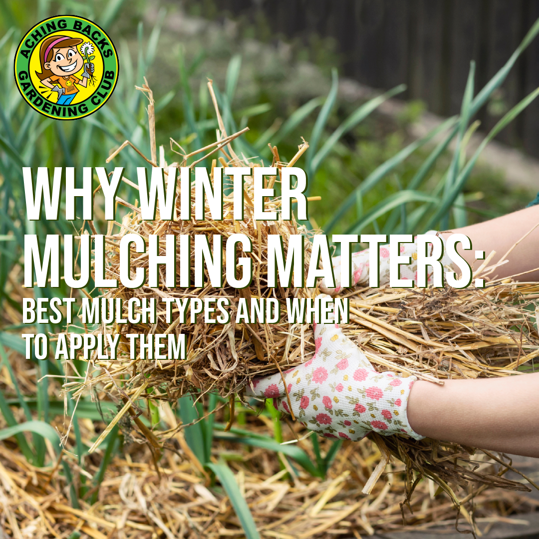 hands with gardening gloves on holds mulch of straw. Overlay text with title.