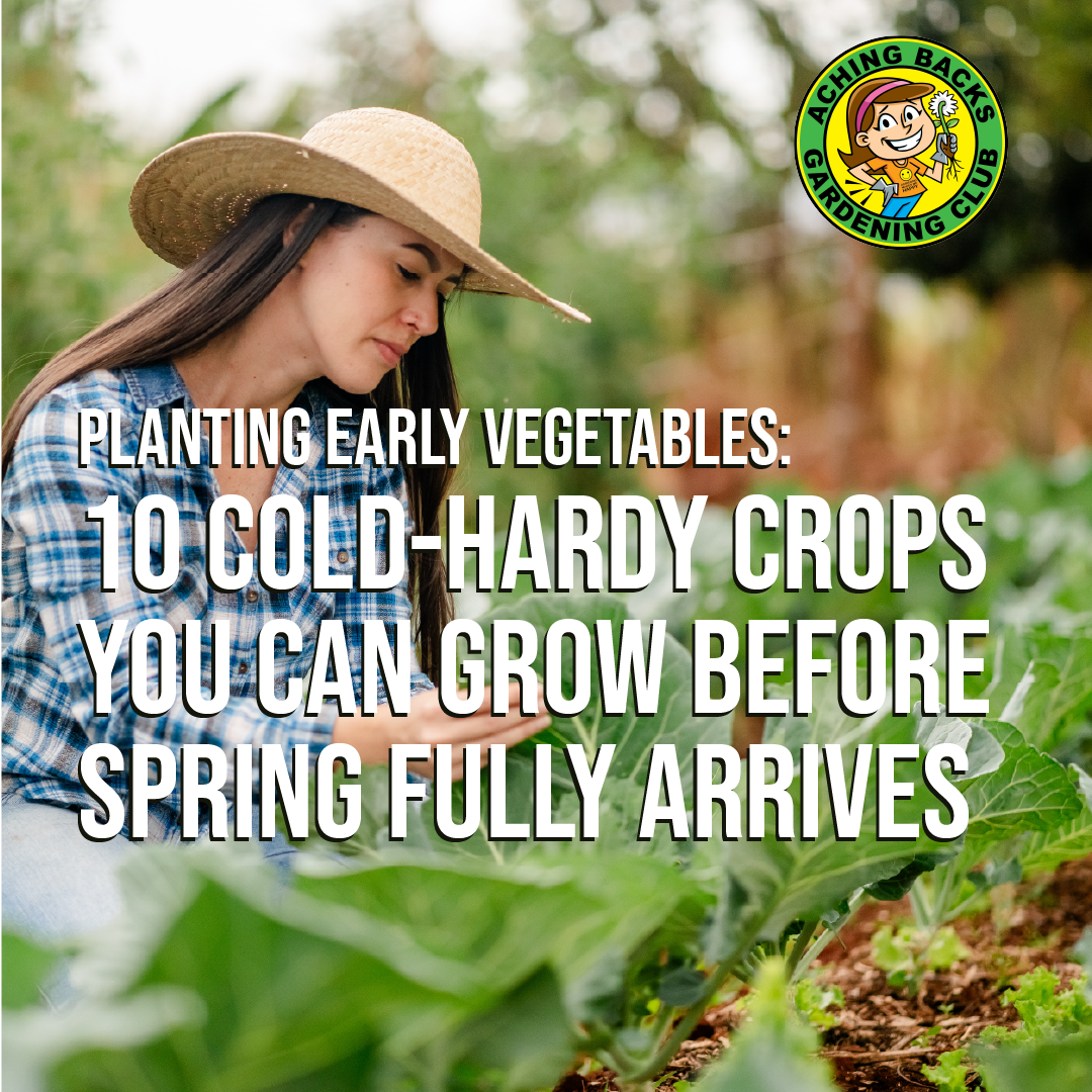 Planting Early Vegetables: 10 Cold-Hardy Crops You Can Grow Before Spring Fully Arrives