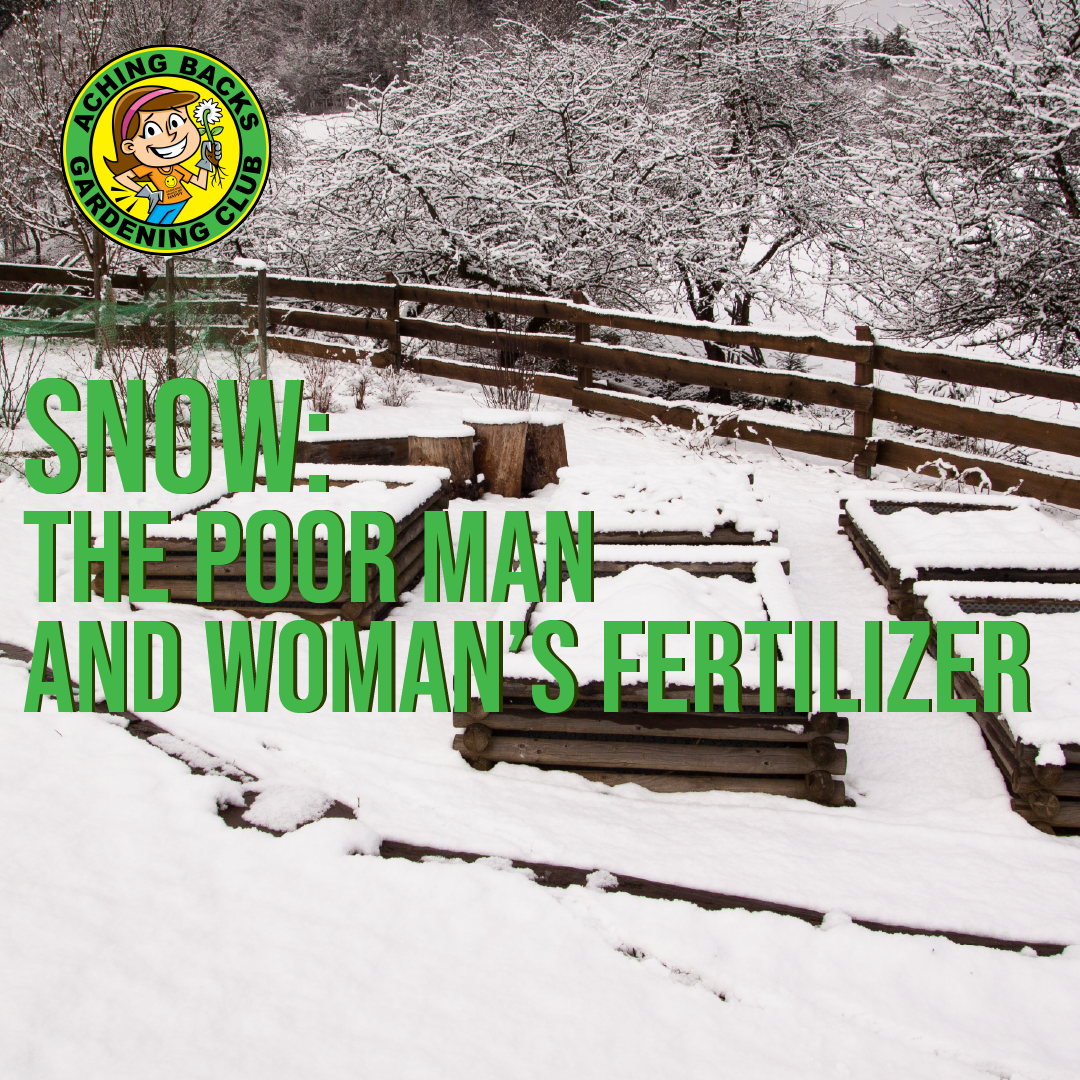 Snow: The Poor Man and Woman’s Fertilizer