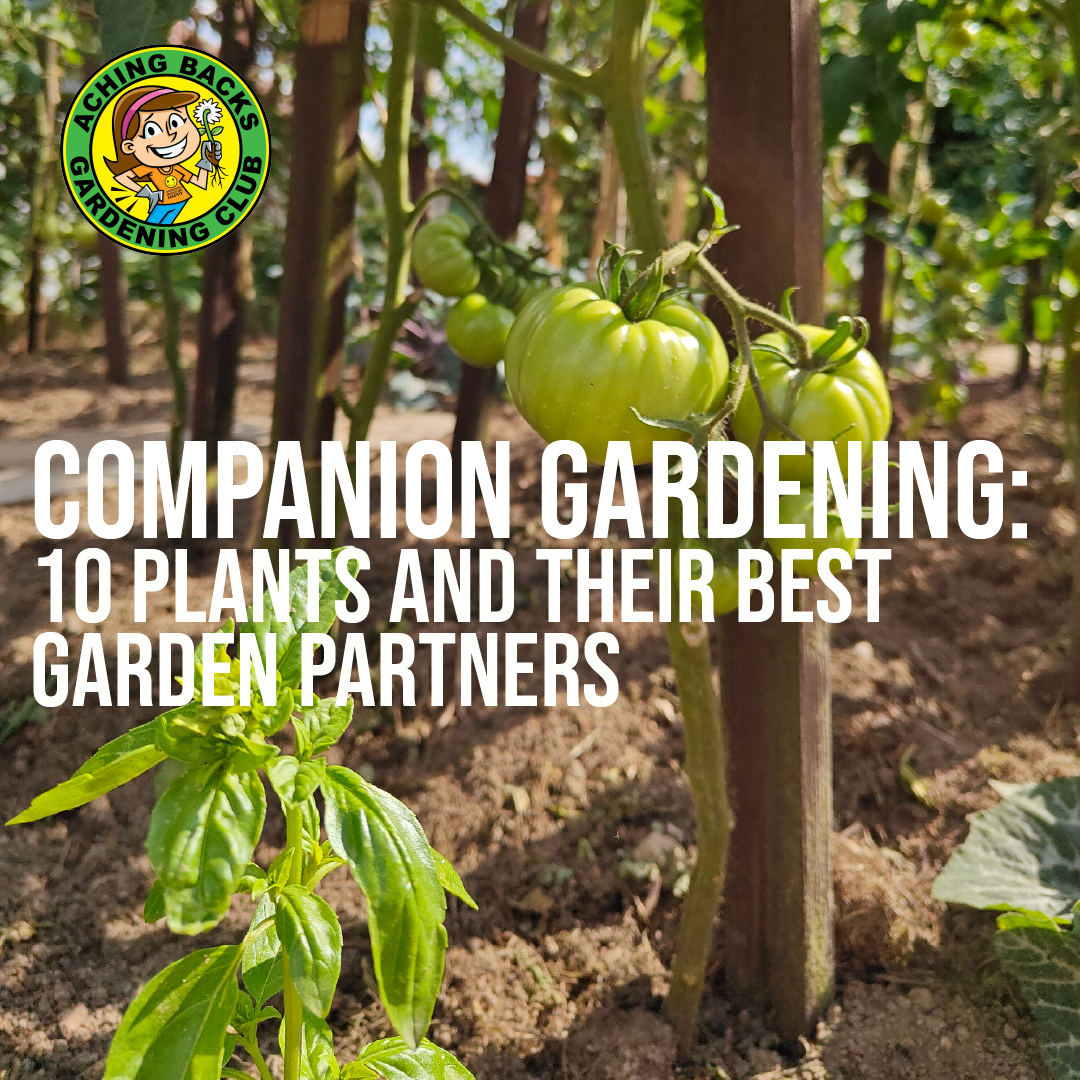 Companion Gardening: 10 Plants and Their Best Garden Partners