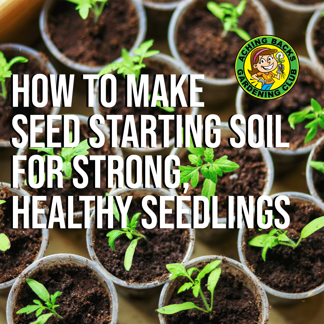 How to Make Seed Starting Soil for Strong, Healthy Seedlings