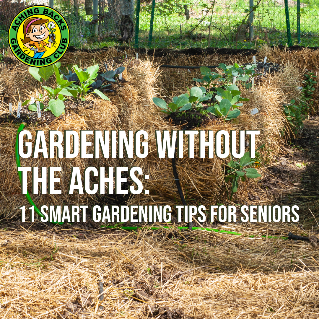 Gardening Without the Aches: 11 Unique Tips for Senior Gardeners