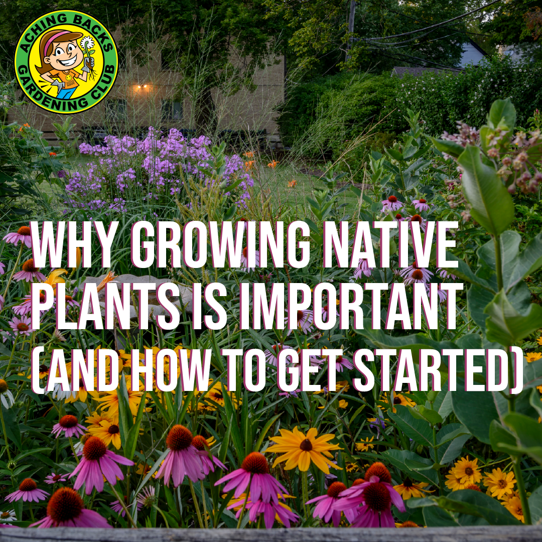 Why Growing Native Plants Is Important (And How to Get Started)